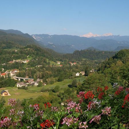 Kunstelj Pension Radovljica Exteriér fotografie