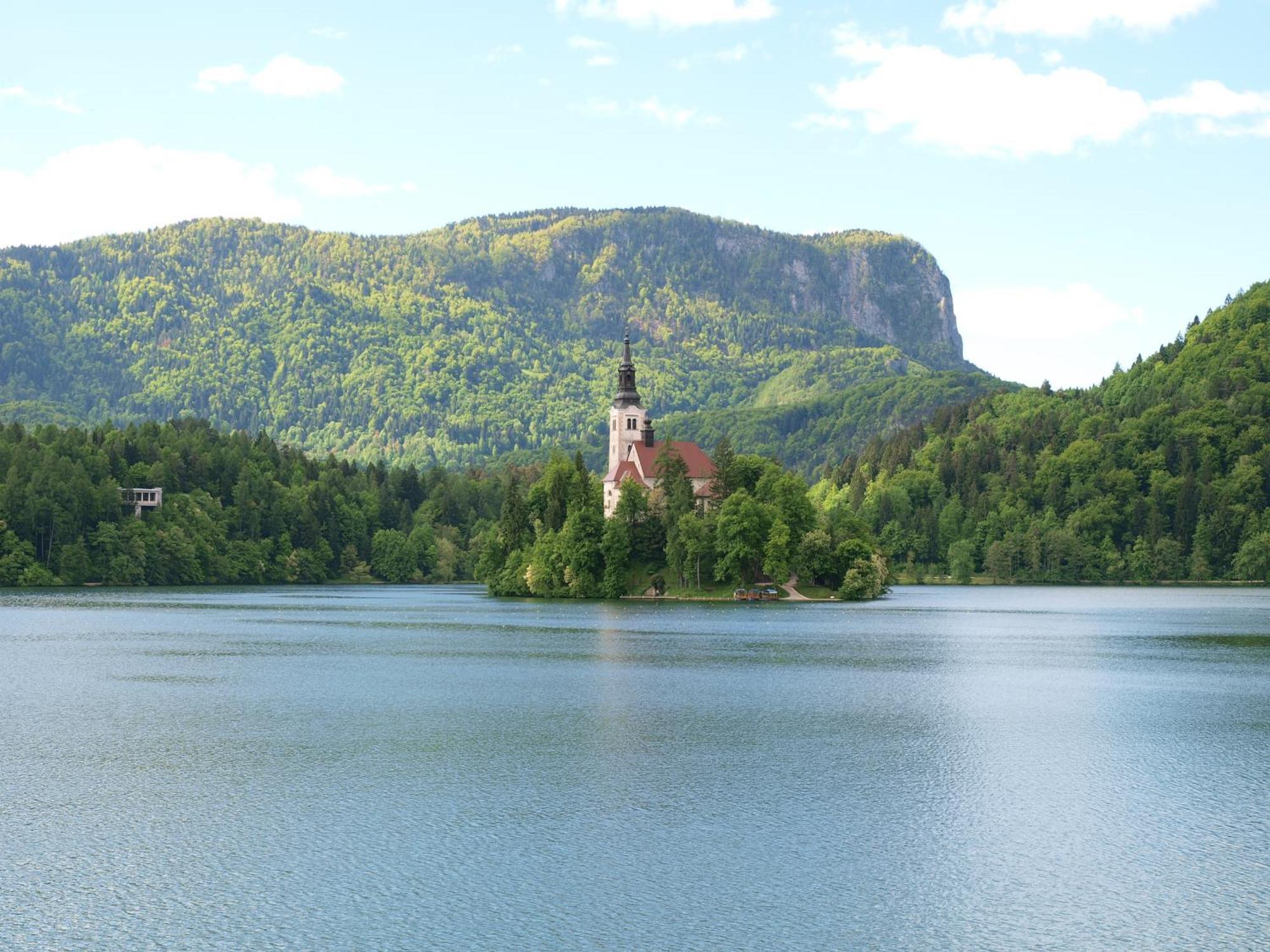 Kunstelj Pension Radovljica Exteriér fotografie