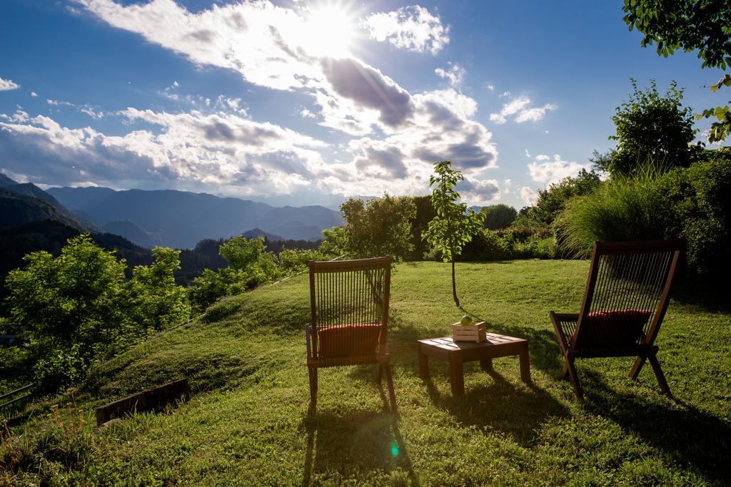 Kunstelj Pension Radovljica Exteriér fotografie