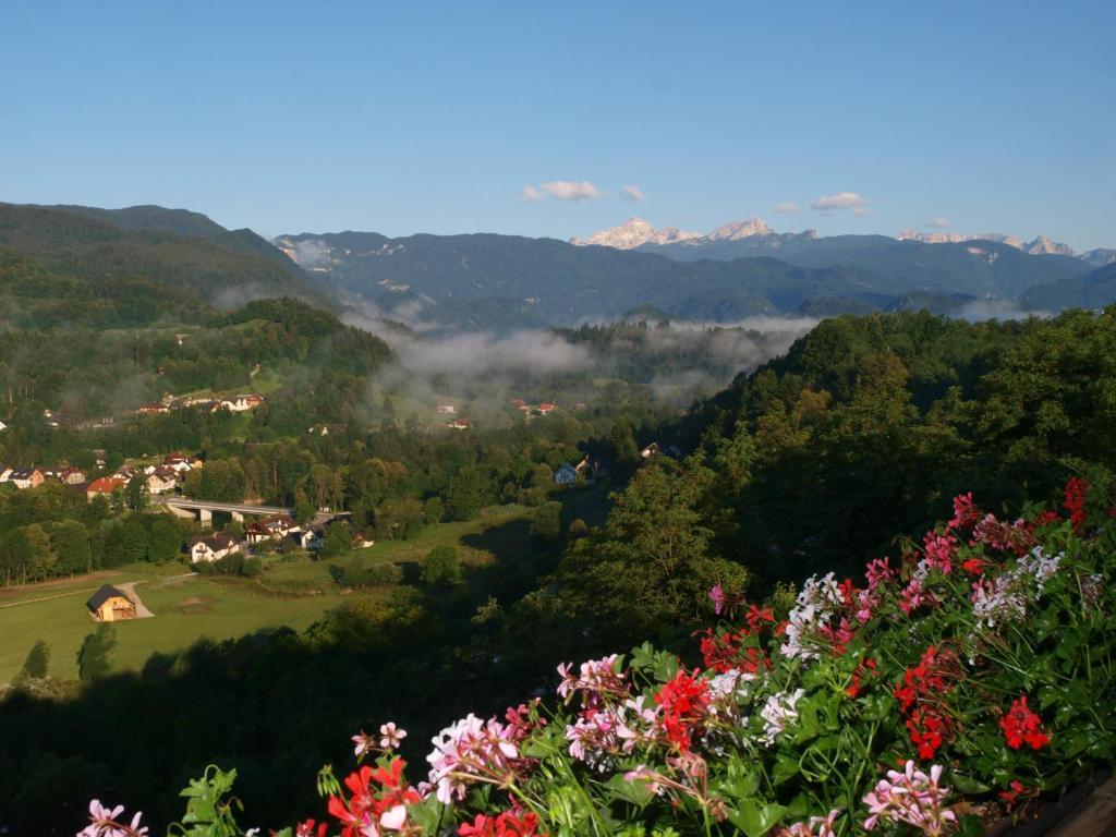 Kunstelj Pension Radovljica Exteriér fotografie