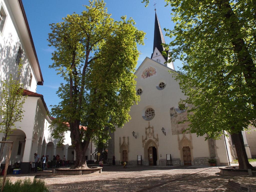 Kunstelj Pension Radovljica Exteriér fotografie